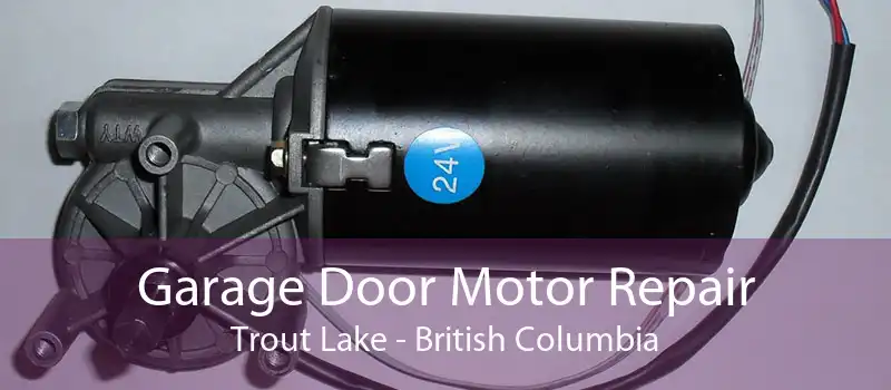 Garage Door Motor Repair Trout Lake - British Columbia