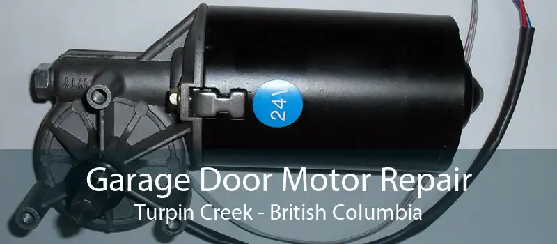 Garage Door Motor Repair Turpin Creek - British Columbia