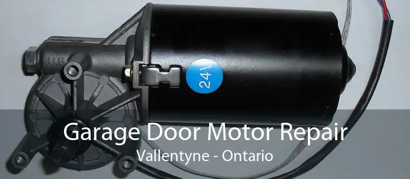 Garage Door Motor Repair Vallentyne - Ontario