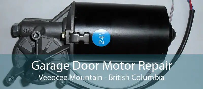 Garage Door Motor Repair Veeocee Mountain - British Columbia