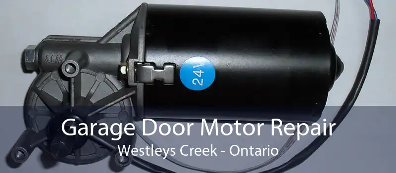 Garage Door Motor Repair Westleys Creek - Ontario