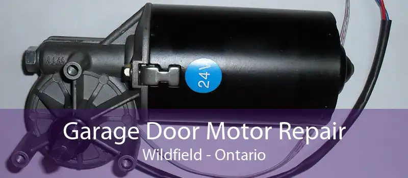 Garage Door Motor Repair Wildfield - Ontario