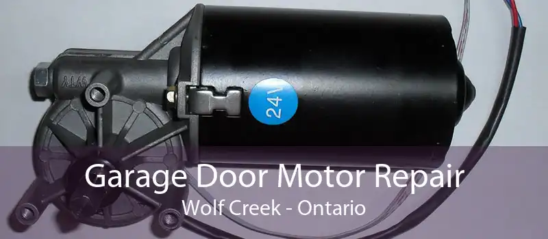 Garage Door Motor Repair Wolf Creek - Ontario