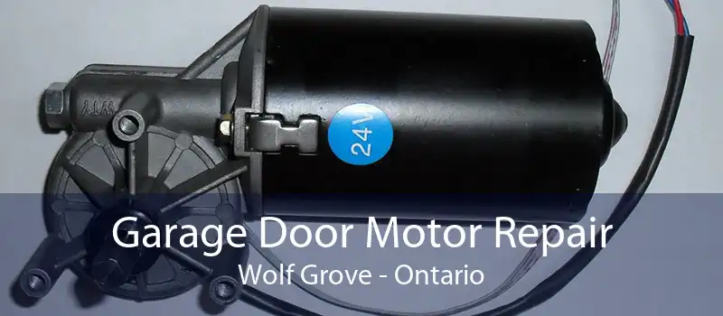 Garage Door Motor Repair Wolf Grove - Ontario
