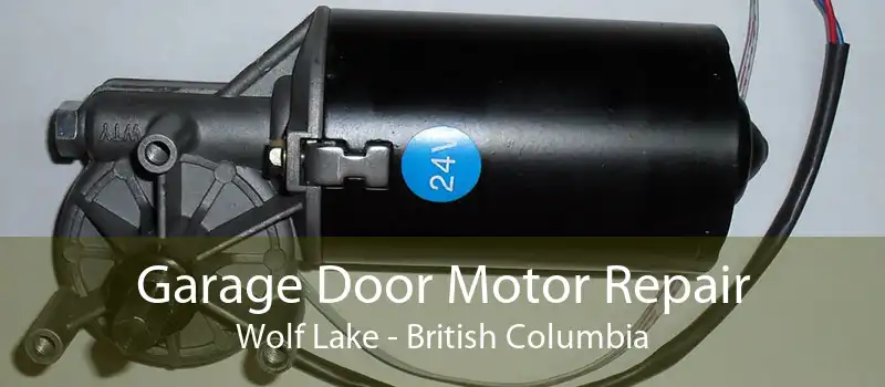 Garage Door Motor Repair Wolf Lake - British Columbia