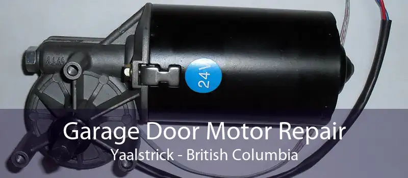 Garage Door Motor Repair Yaalstrick - British Columbia