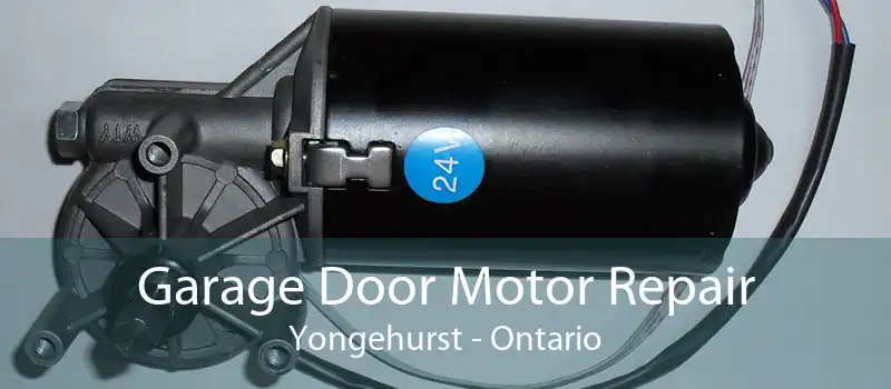 Garage Door Motor Repair Yongehurst - Ontario
