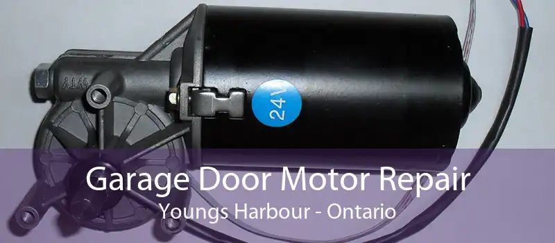 Garage Door Motor Repair Youngs Harbour - Ontario