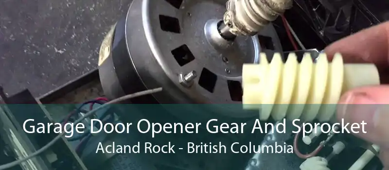 Garage Door Opener Gear And Sprocket Acland Rock - British Columbia