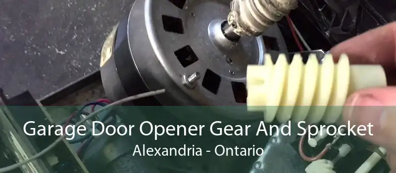 Garage Door Opener Gear And Sprocket Alexandria - Ontario