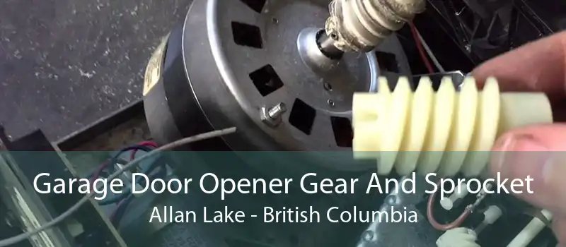 Garage Door Opener Gear And Sprocket Allan Lake - British Columbia