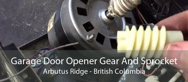 Garage Door Opener Gear And Sprocket Arbutus Ridge - British Columbia