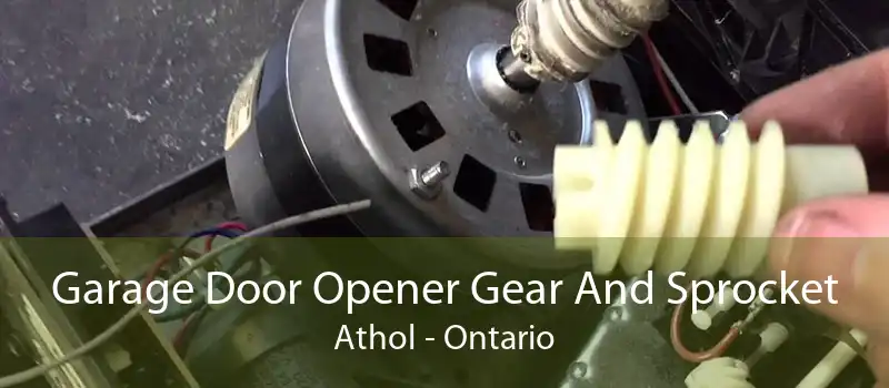 Garage Door Opener Gear And Sprocket Athol - Ontario