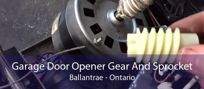 Garage Door Opener Gear And Sprocket Ballantrae - Ontario
