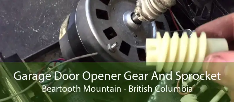 Garage Door Opener Gear And Sprocket Beartooth Mountain - British Columbia