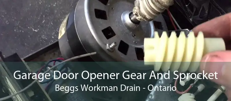 Garage Door Opener Gear And Sprocket Beggs Workman Drain - Ontario