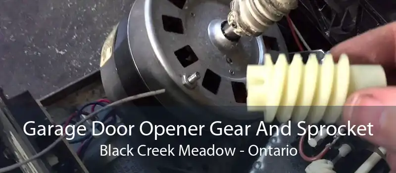 Garage Door Opener Gear And Sprocket Black Creek Meadow - Ontario