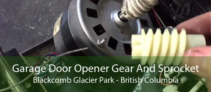 Garage Door Opener Gear And Sprocket Blackcomb Glacier Park - British Columbia