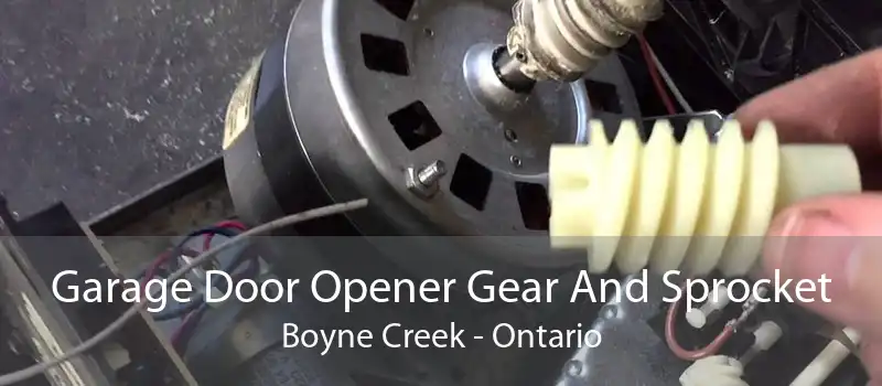 Garage Door Opener Gear And Sprocket Boyne Creek - Ontario
