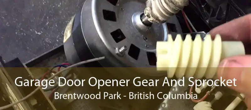 Garage Door Opener Gear And Sprocket Brentwood Park - British Columbia