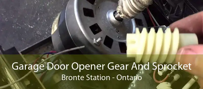Garage Door Opener Gear And Sprocket Bronte Station - Ontario