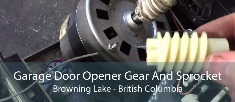Garage Door Opener Gear And Sprocket Browning Lake - British Columbia
