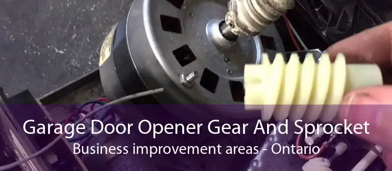 Garage Door Opener Gear And Sprocket Business improvement areas - Ontario