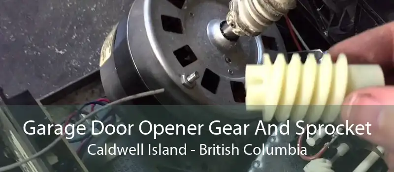 Garage Door Opener Gear And Sprocket Caldwell Island - British Columbia