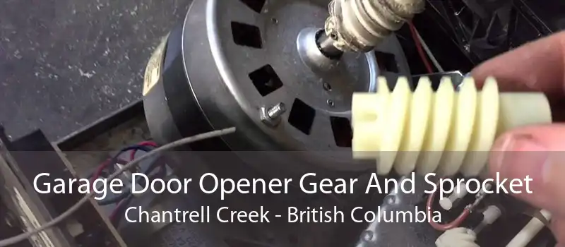 Garage Door Opener Gear And Sprocket Chantrell Creek - British Columbia