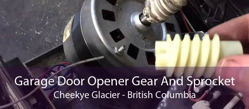 Garage Door Opener Gear And Sprocket Cheekye Glacier - British Columbia