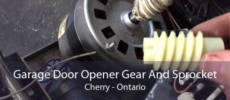 Garage Door Opener Gear And Sprocket Cherry - Ontario
