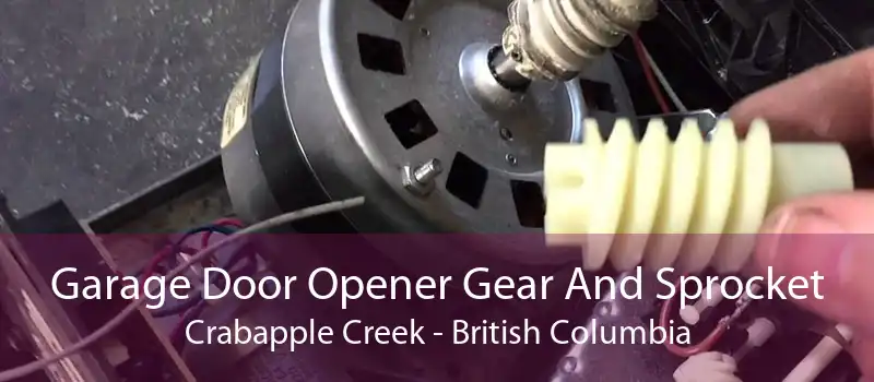 Garage Door Opener Gear And Sprocket Crabapple Creek - British Columbia