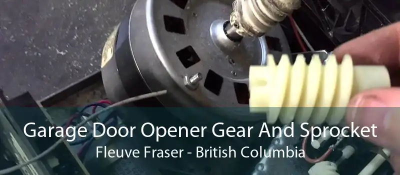 Garage Door Opener Gear And Sprocket Fleuve Fraser - British Columbia