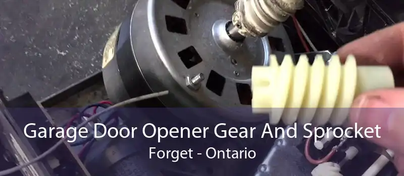 Garage Door Opener Gear And Sprocket Forget - Ontario