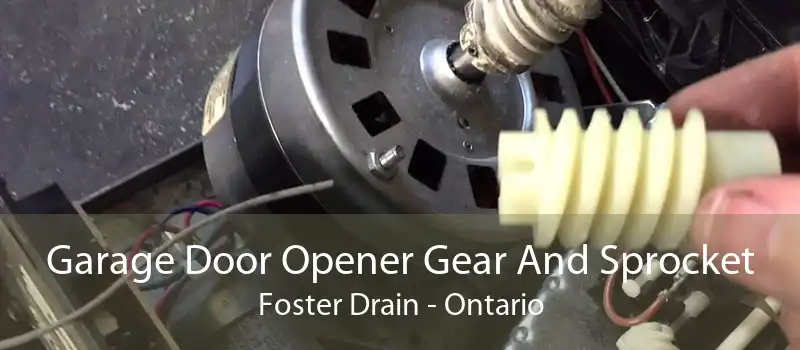 Garage Door Opener Gear And Sprocket Foster Drain - Ontario