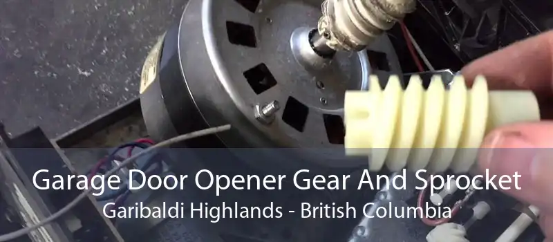 Garage Door Opener Gear And Sprocket Garibaldi Highlands - British Columbia