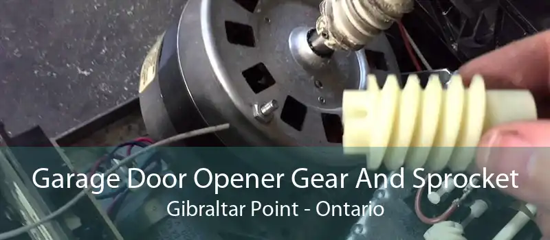 Garage Door Opener Gear And Sprocket Gibraltar Point - Ontario