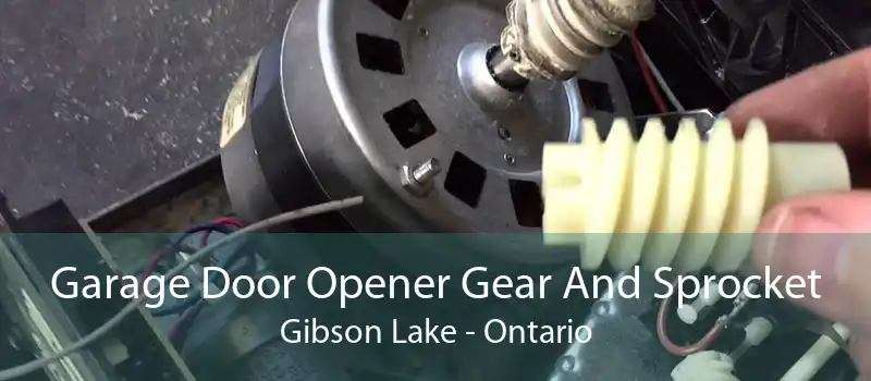 Garage Door Opener Gear And Sprocket Gibson Lake - Ontario