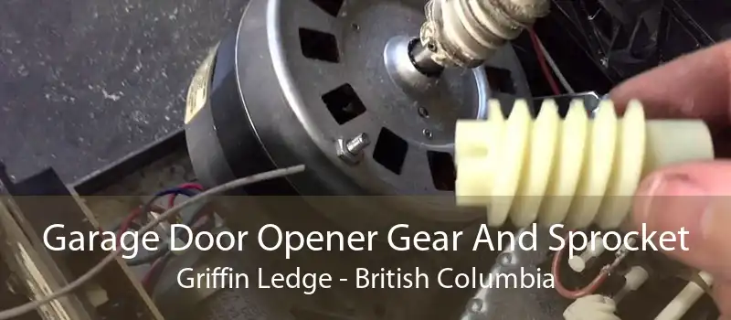 Garage Door Opener Gear And Sprocket Griffin Ledge - British Columbia