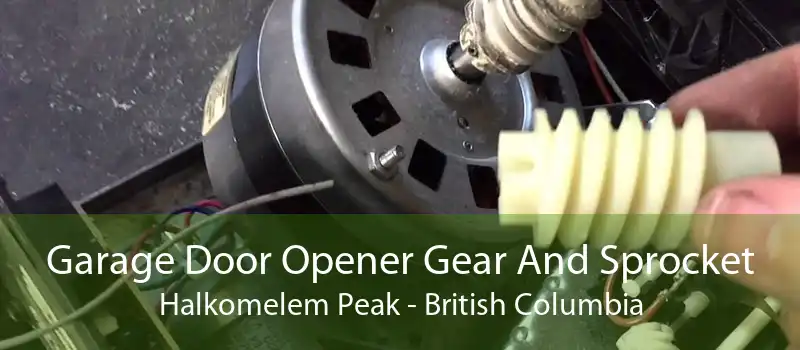 Garage Door Opener Gear And Sprocket Halkomelem Peak - British Columbia