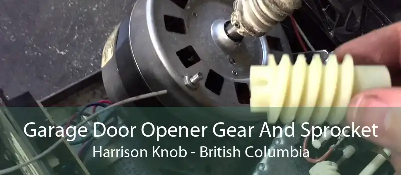 Garage Door Opener Gear And Sprocket Harrison Knob - British Columbia