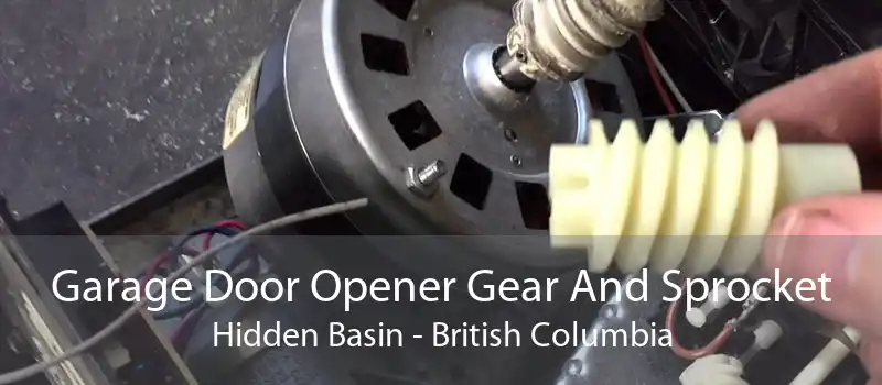 Garage Door Opener Gear And Sprocket Hidden Basin - British Columbia
