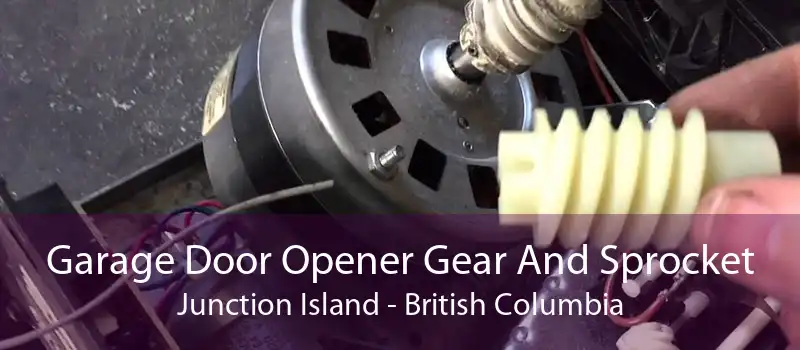 Garage Door Opener Gear And Sprocket Junction Island - British Columbia