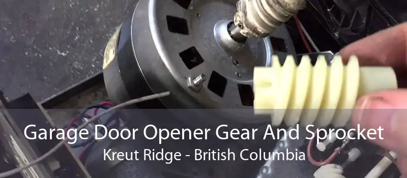 Garage Door Opener Gear And Sprocket Kreut Ridge - British Columbia