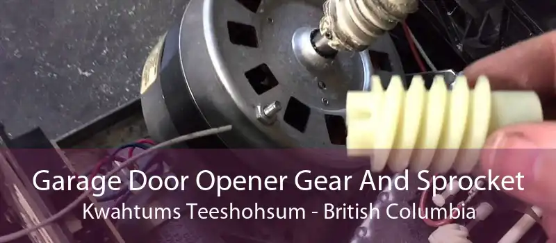 Garage Door Opener Gear And Sprocket Kwahtums Teeshohsum - British Columbia