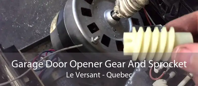 Garage Door Opener Gear And Sprocket Le Versant - Quebec