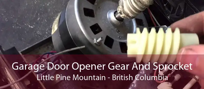 Garage Door Opener Gear And Sprocket Little Pine Mountain - British Columbia