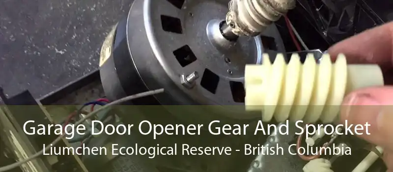 Garage Door Opener Gear And Sprocket Liumchen Ecological Reserve - British Columbia