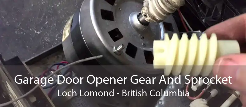 Garage Door Opener Gear And Sprocket Loch Lomond - British Columbia