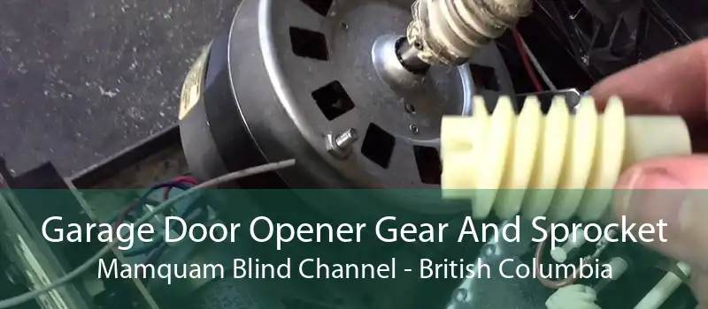 Garage Door Opener Gear And Sprocket Mamquam Blind Channel - British Columbia
